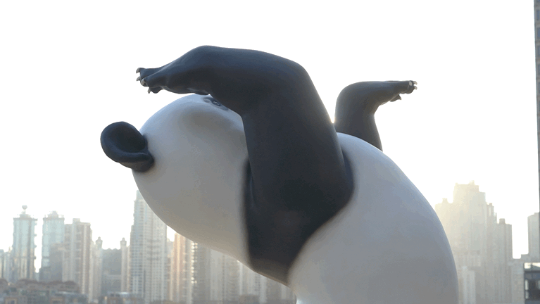 5.gif